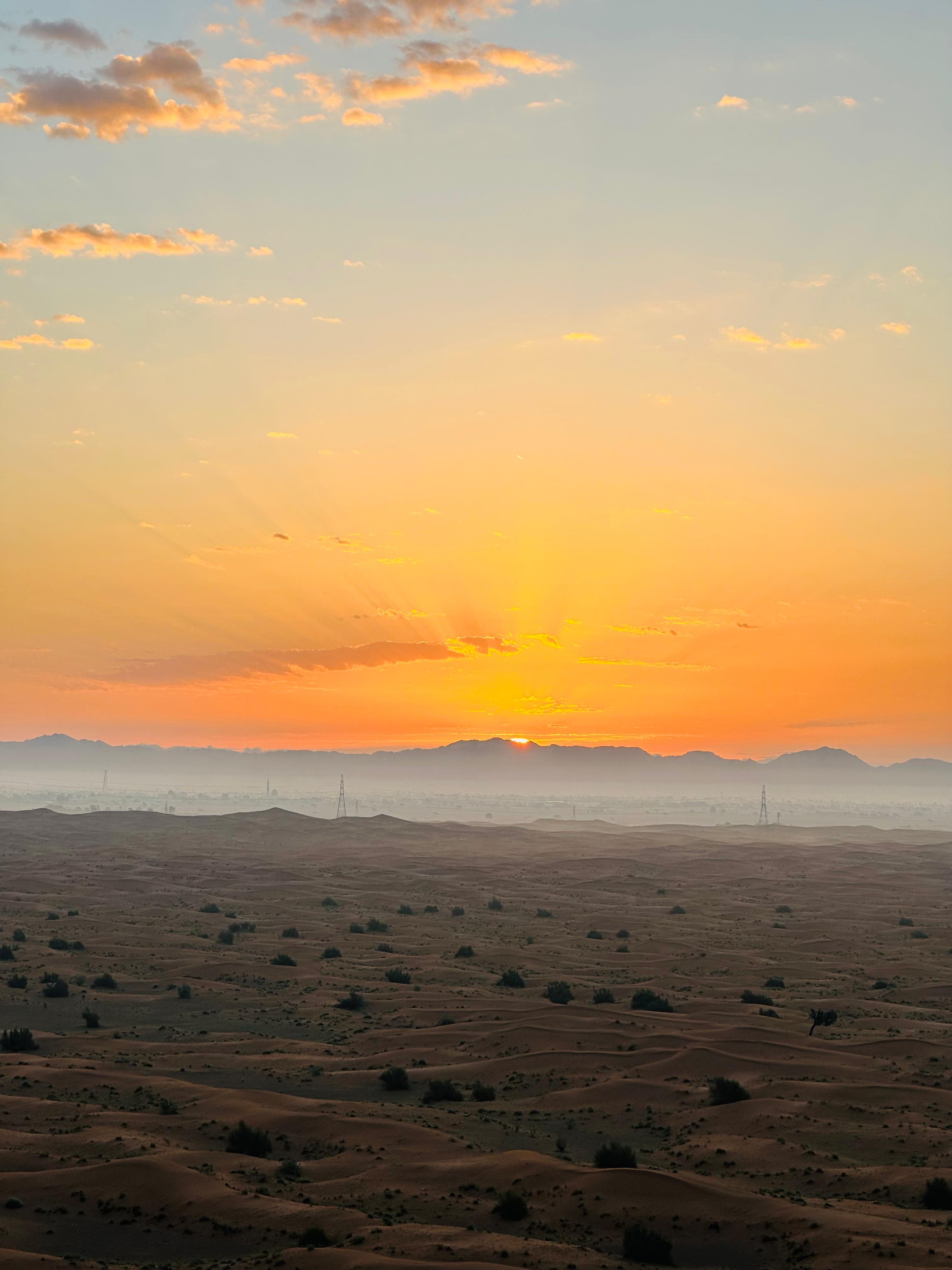 Sunrise Desert View with Dune Buggy Ride and Camel Riding - 5 hours activity in Dubai