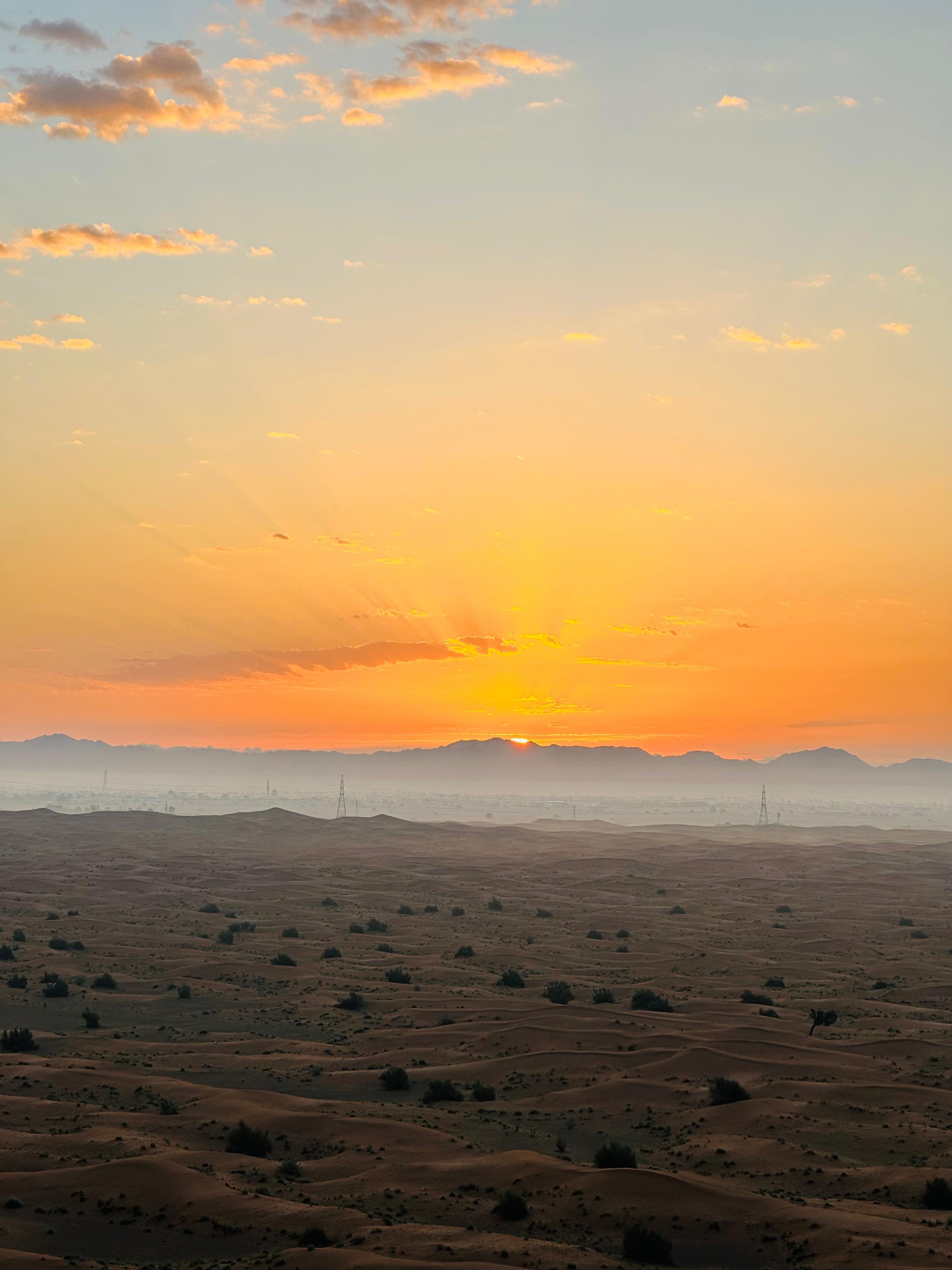 Sunrise Desert View with Dune Buggy Ride and Camel Riding - Activity activity in Dubai