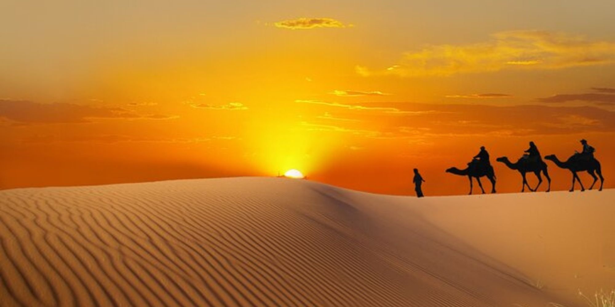 Dubai Evening Desert Safari with BBQ Dinner at Desert - Activity activity in Dubai