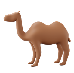 Camel